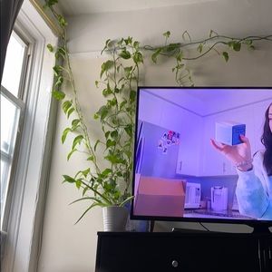 Meet your Posher, Phuntsok